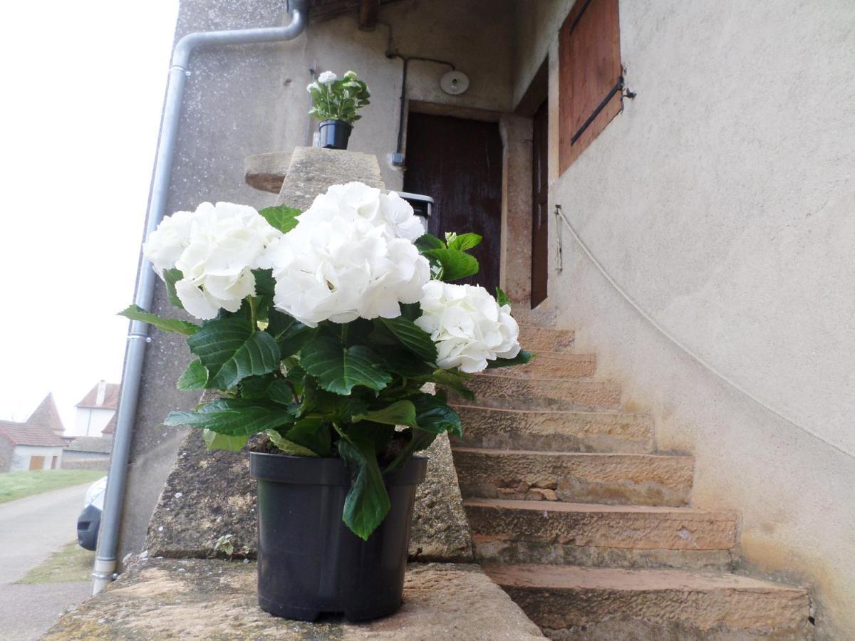Les Marronniers Acomodação com café da manhã La Chapelle-sous-Brancion Exterior foto